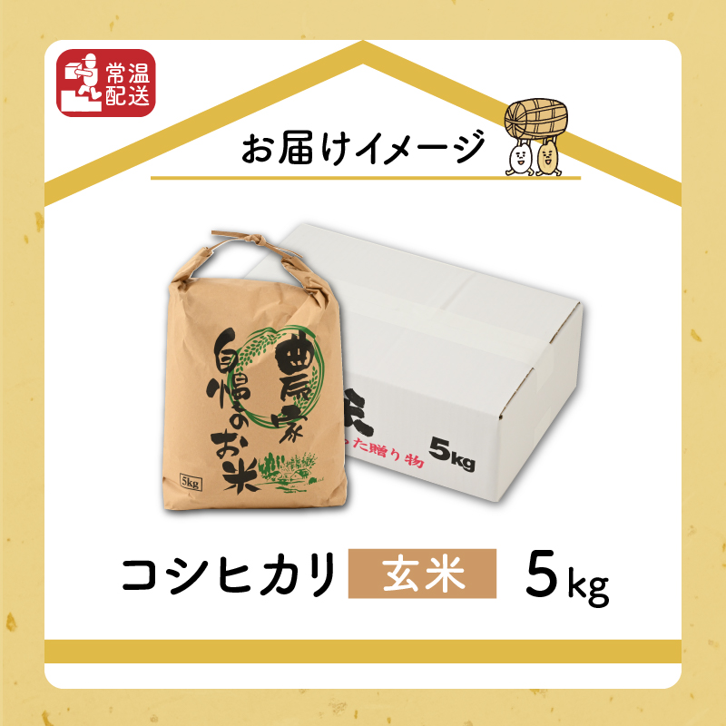 【先行予約】令和8年産 梅花藻が群生する清流で育てたコシヒカリ（玄米 5kg×1袋）※2026年9月下旬以降順次発送予定 [A-040028]