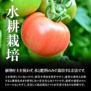 【訳あり】宮崎県産とまと 川南町産トマト１ｋｇ（９～１８個） 【 宮崎県産 九州産 川南町産 トマト とまと 野菜 ヘルシー 訳あり わけあり E6602 】