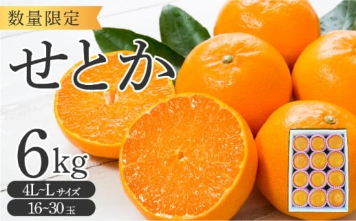 KU250-2 せとか6kg（16～30玉）化粧箱付き