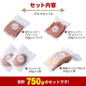 【定期便12ヶ月】GIFTON 岩手県産四元豚 グルメセットA 750g ハンバーグ ウィンナー ベーコン 【1902】