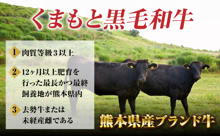 【12回定期便】黒毛和牛サーロイン スライス 約400g（約200g×2pc）【吉里精肉】 [ZEW074]