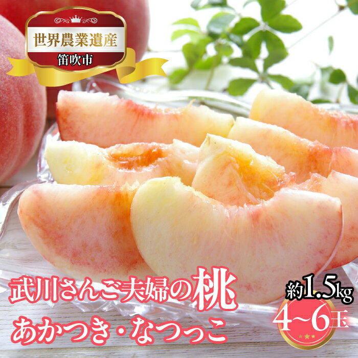 【ふるさと納税】【2026年発送★先行予約】山梨県笛吹市産　武川さんご夫婦の桃(あかつき・なつっこ)　約1.5kg　4玉～6玉　 223-023