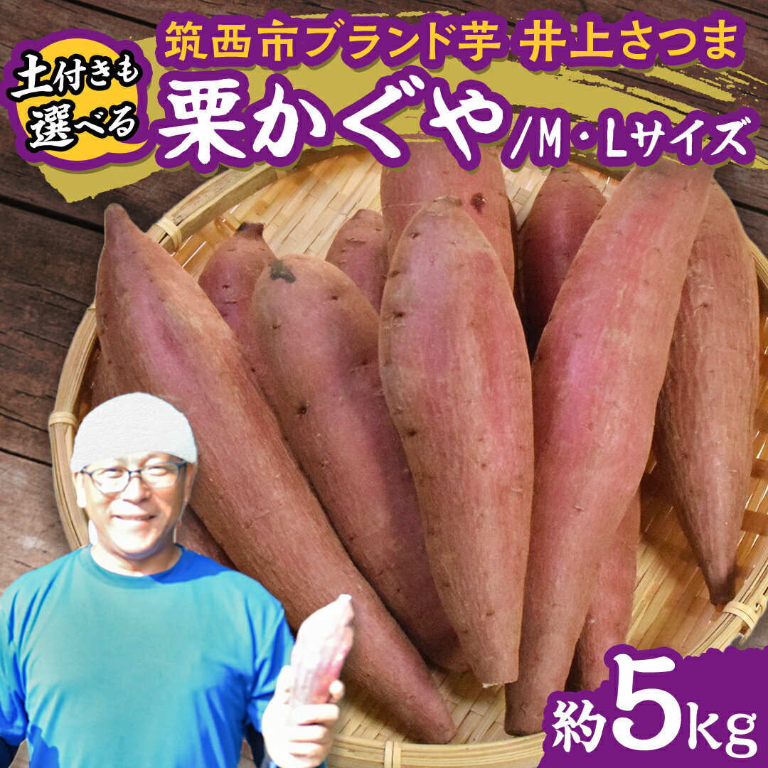 【ふるさと納税】【 よしのいも 】 井上さつま 「 栗かぐや 」 M・Lサイズ 約5kg (選べる 土付き / 土なし ) 特別栽培 特別栽培農産物 ブランド芋 完熟 さつまいも いも おいも 焼き芋 芋 おやつ まごころ野菜よしの