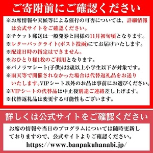 ＜パノラマシート(大人)：代替品B＞万博夜空がアートになる日2026 鑑賞チケット(2枚・2名様分) 体験チケット 利用券 花火 花火大会 音楽 万博 万博公園 万博記念公園 クーポン 【m62-03