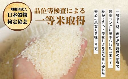 令和7年度新米 広島県産米 コシヒカリ 10kg 一等米 精米【 米 お米 新米 広島県産 おむすび ごはん ゴハン こめ コメ おにぎり 国産】※2025年10月より順次発送予定