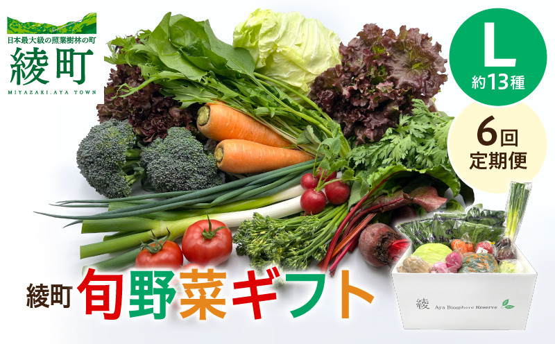 
            【6回定期便】綾町旬野菜ギフト〈 Lサイズ/約13種 〉4人以上分 産地直送 野菜セット 詰め合わせ 新鮮 有機栽培 旬 採れたて 野菜定期便 野菜 人参 トマト じゃがいも 玉ねぎ きゅうり さつまいも 芋 ねぎ 小松菜 大根 ほうれん草 キャベツ キノコ等 送料無料 【オーガニックのまち 宮崎県綾町】
          