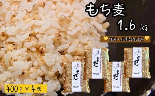 
            もち麦 【1.6kg】 そのままごはんと一緒にすぐ炊ける 8ぶづき ～栽培期間中 化学肥料 農薬不使用～【7月～3月の間に順次発送】G15-11 
          