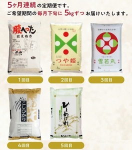 SH0026　【5回定期便】5銘柄食べ比べ 5kg×5回(計25kg)はえぬき・つや姫 ・雪若丸・コシヒカリ・ひとめぼれ YA