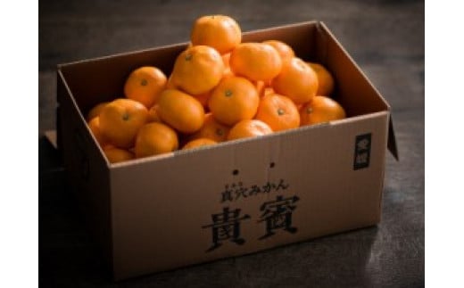 
真穴みかん＜貴賓＞小粒＜D44-3＞【1490884】
