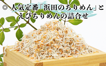 ＜老舗網元 えびちりめん詰め合わせ(合計840g)＞減塩 ちりめんじゃこ かたくちいわし カタクチイワシ 小魚 カルシウム 乾物 マルヨシ水産 特産品 愛媛県 西予市 【冷蔵】『1か月以内に順次出荷』