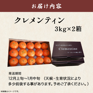 スペイン生まれのたら育ちクレメンティン 6kg クレメンティン みかん 柑橘 国産 オレンジ マンダリン 希少 ジューシー ギフト 贈り物 佐賀県 太良町 ND2x1【2026年12月上旬～2027年