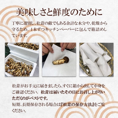 【2024年9月中旬～10月中旬発送予定】松茸マイスター厳選!旬の岩泉産松茸　250g(前後)【配送不可地域：離島】