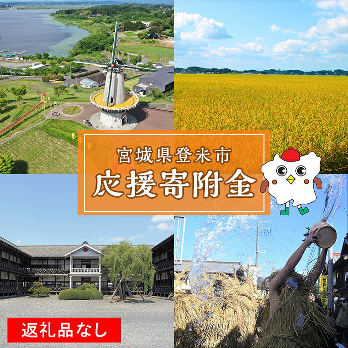 【ふるさと納税】＜返礼品なし＞登米市ふるさと納税へのご寄附 tm000-01
