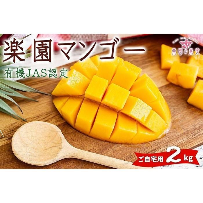 【ふるさと納税】《先行予約》2026年発送 有機JAS認証マンゴー（アーウィン）ご自宅用 2kg【楽園の果実】 | マンゴー アーウィン 果物 フルーツ 有機 ご当地 沖縄 宮古島（DQ018）
