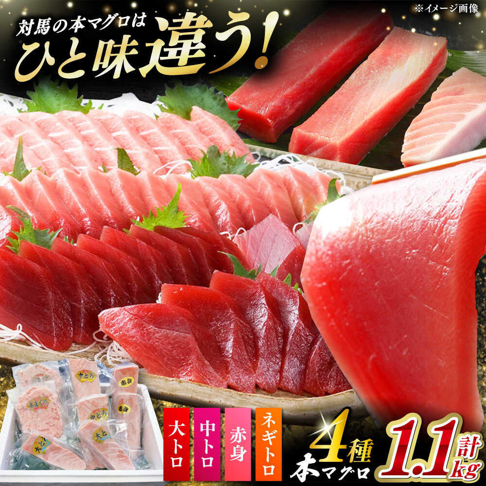 【ふるさと納税】対馬産 本マグロ 4種 計1.1kg（赤身/中トロ/大トロ/ネギトロ）《対馬市》【対海】 冷凍配送 食べ比べ 新鮮 手巻き寿司 海鮮丼 贈り物[WAH028]