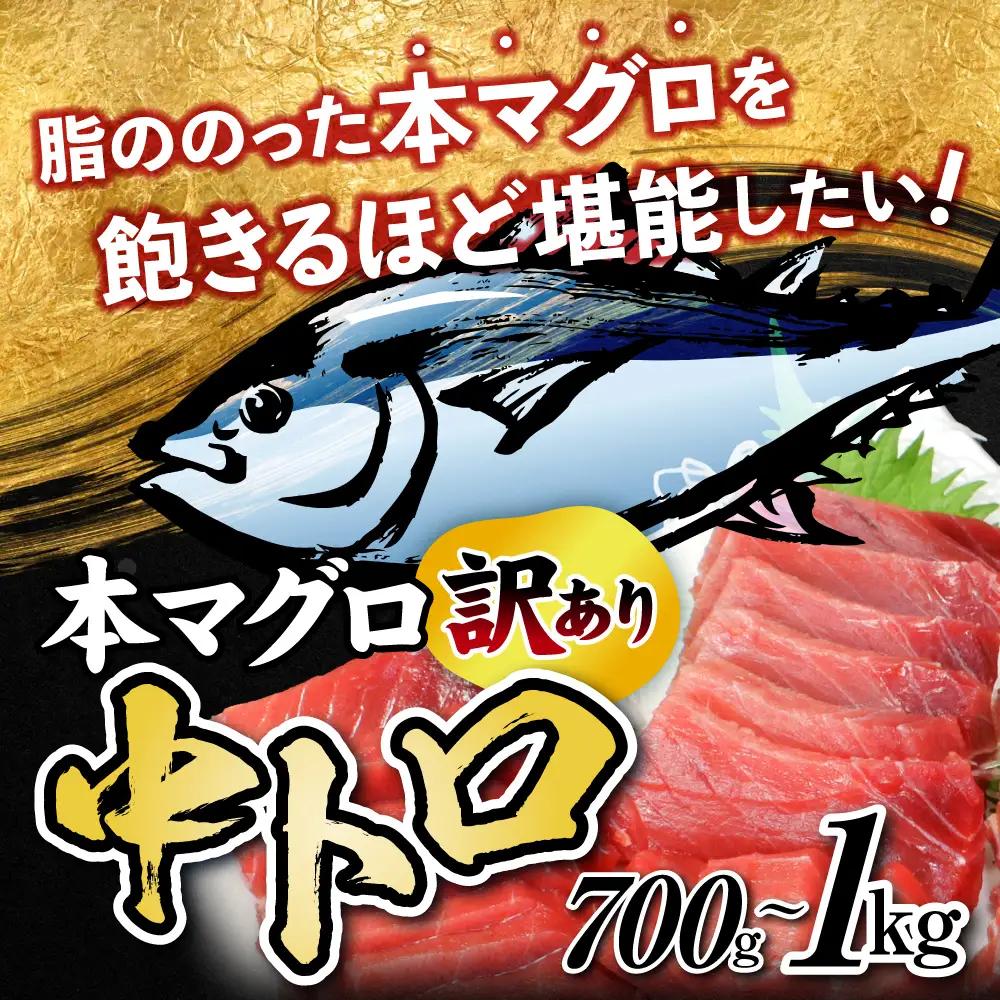 本まぐろ 中トロ 訳あり 1kg