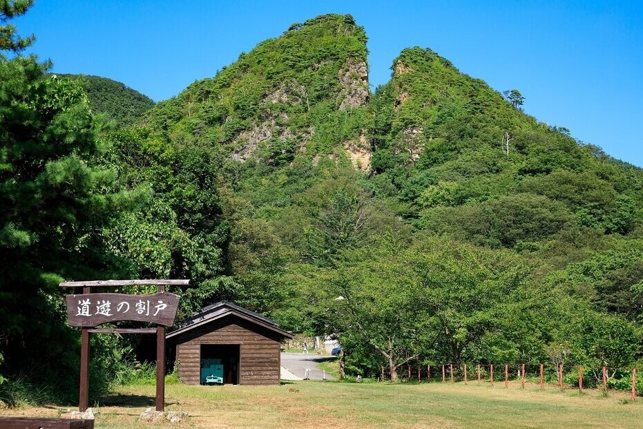 甘さ控えめ。果実そのものの味が前に出るジャム