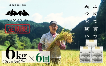 令和6年産米【定期便】山仙（いのちの壱）2kg×3（6kg）×6回 定期 すがたらいす 下呂市金山産 令和6年 ブランド米 いのちのいち 2024年産 毎月 6キロ×6カ月 お米 精米 下呂温泉 下呂市 米【51-K】