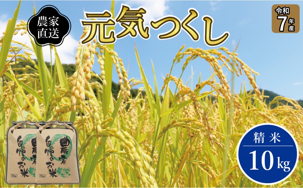 
                  《令和7年産》福岡県大川市産 ブランド 米「 元気つくし 」 5kg×2個　計10kg
                