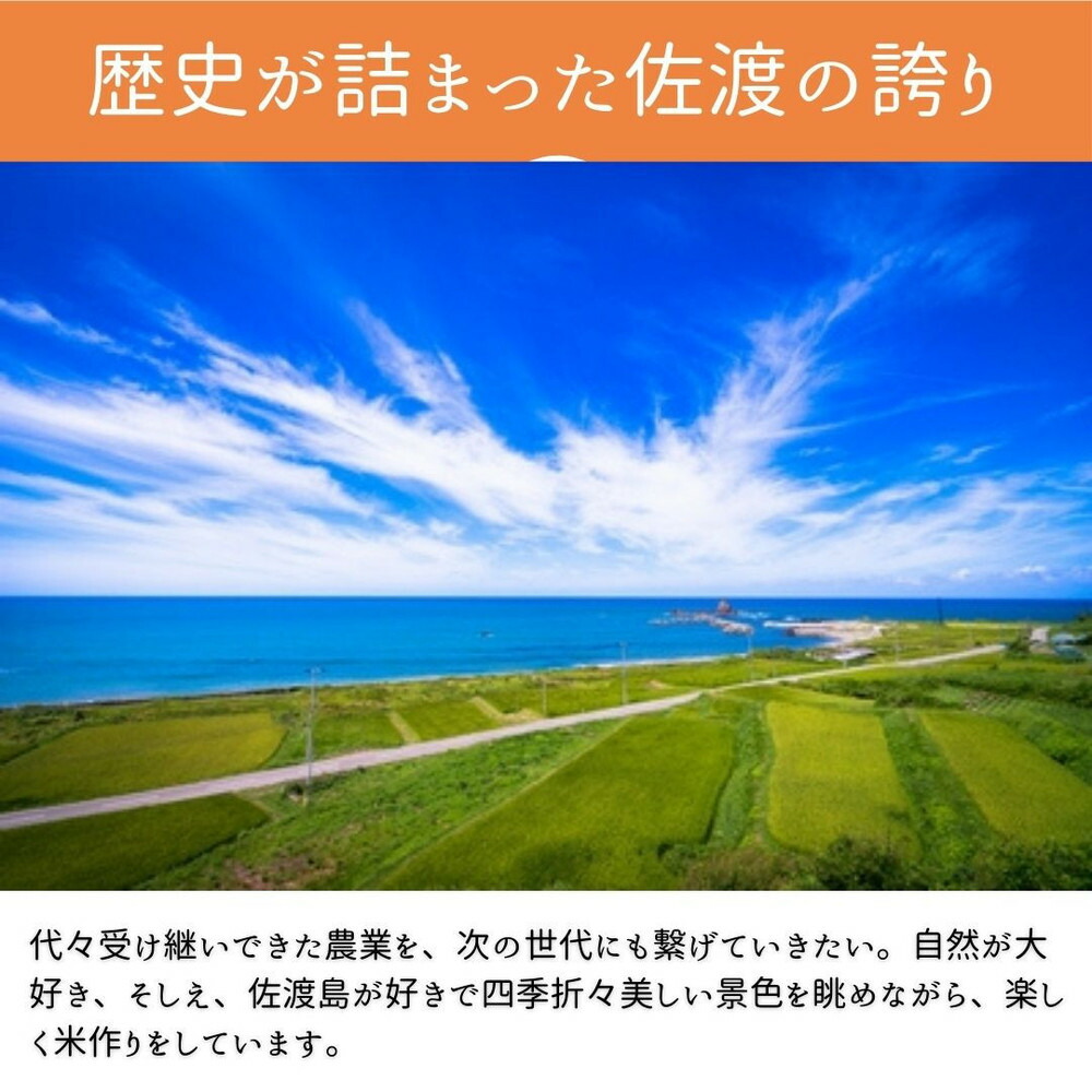 【令和8年産】佐渡産コシヒカリ 無洗米5kg 純粋コシヒカリ 数量限定 送料無料196038-0047