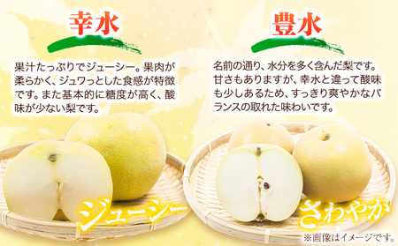 梨 幸水 豊水 約2kg 5~7玉 青空市きらり《8月中旬から12月中旬頃に出荷予定》岡山県 矢掛町 なし 幸水梨 豊水梨 あきづき 二十世紀梨 王秋梨 お中元 梨