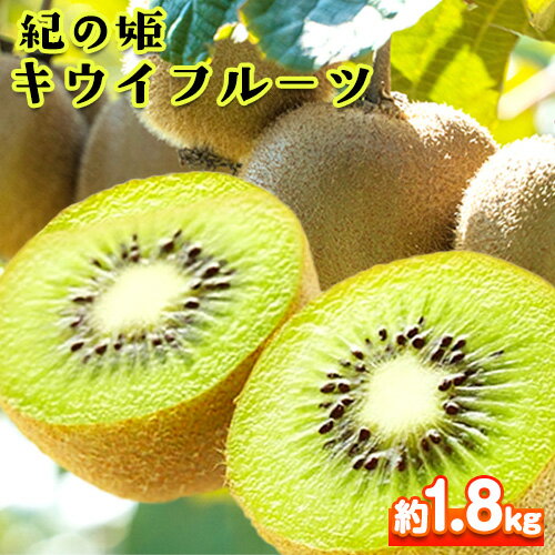 【ふるさと納税】和歌山県紀の川市産 紀の姫キウイフルーツ約1.8kg【サイズお任せ/秀品】 紀の川市厳選館 《2026年1月中旬から年4月中旬頃より出荷予定》 和歌山県 紀の川市 果物 フルーツ キウイ 紀の姫