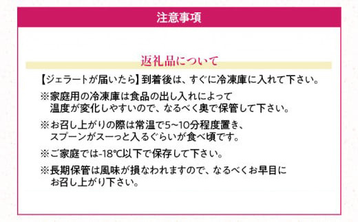 福岡産 あまおうジェラート 1000ml あまおう イチゴ いちご ジェラート スイーツ 果物 フルーツ アイス お返し プレゼント ストロベリー 南国フルーツ株式会社 CO030