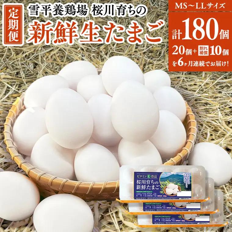 【6ヵ月定期便】雪平養鶏場 桜川育ちの 新鮮 たまご 合計180個 （20個＋10個割れ補償付)×6回  数量限定 卵 定期便 茨城県 桜川市 [SC034sa]
