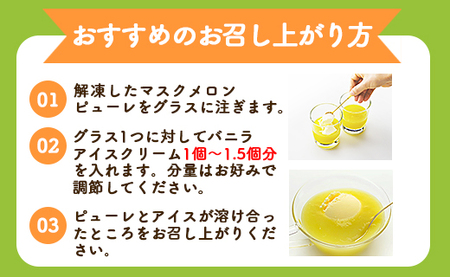 ピューレ メロンピューレ バニラアイスクリーム 5個セット テレビ「めざましどようび キクエがキクヨ！」で紹介 JALファーストクラス機内食に採用 - 果物 くだもの めろん 果汁100% 丸搾り ス