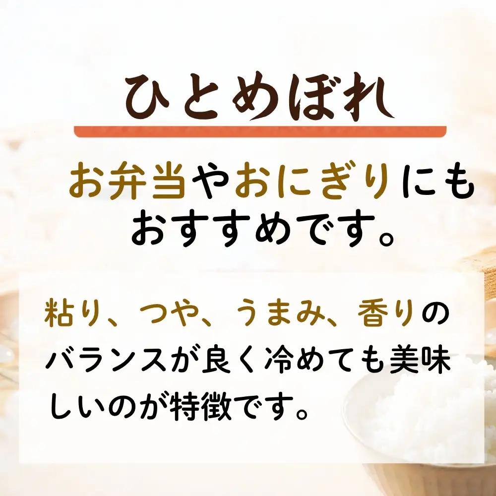 【令和8年産】【新米】【令和8年10月中旬～下旬順次発送】 ひとめぼれ 精米 10kg E｜ひとめぼれE