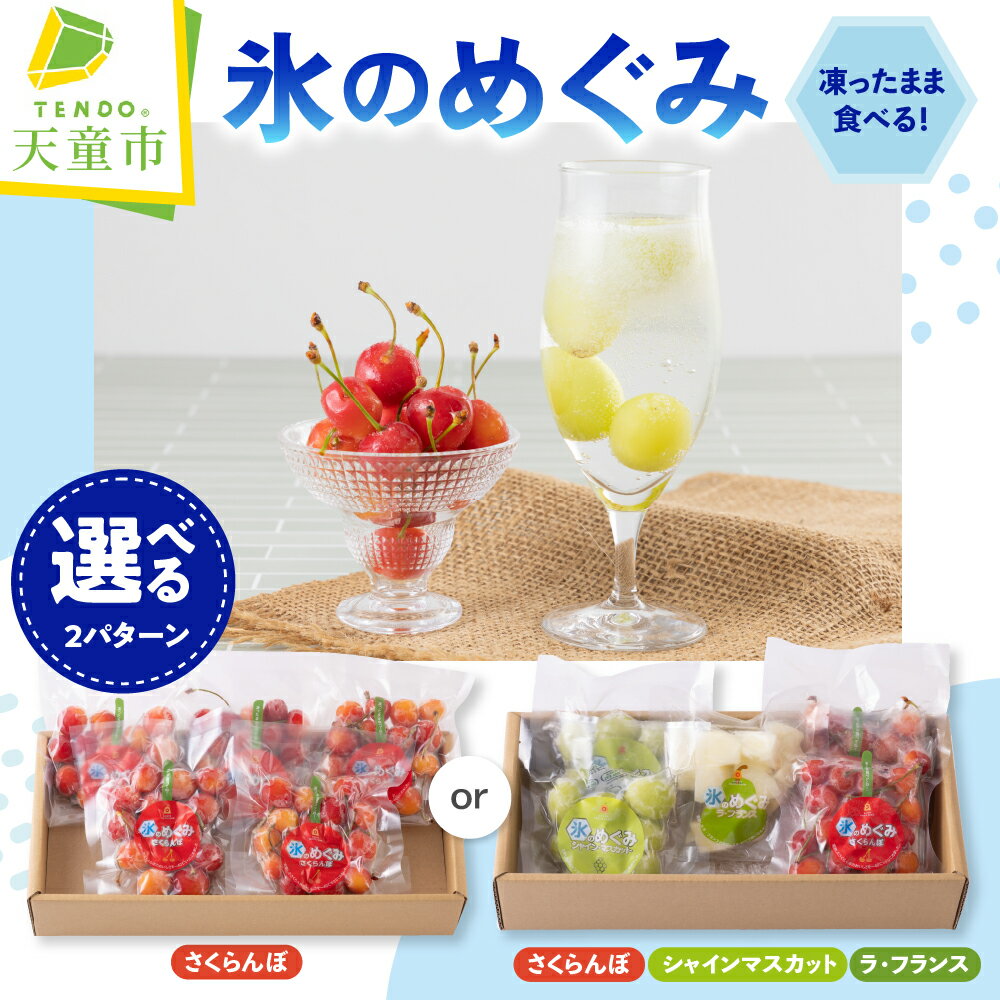 【ふるさと納税】 氷のめぐみ 選べる 2パターン 100g × 5袋 シャーベット 冷凍 さくらんぼ シャインマスカット ラフランス 果物 フルーツ 急速冷凍 氷菓 ご当地 スイーツ デザート 家庭用 のし 贈答 おすそ分け 送料無料 産地直送 【 山形県 天童市 】
