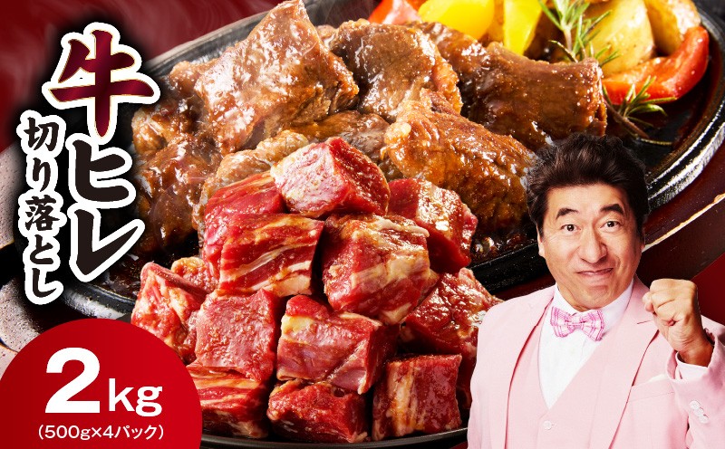 
                  【スピード発送】やわらか 牛ヒレ肉 切り落とし 2kg【小分け 500g×4P 氷温熟成×特製ダレ サイズ不揃い ステーキ ひと口サイズ カット済み】
                