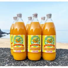 和歌山有田産100%温州みかんジュース 970ml×6本セット【日高町】