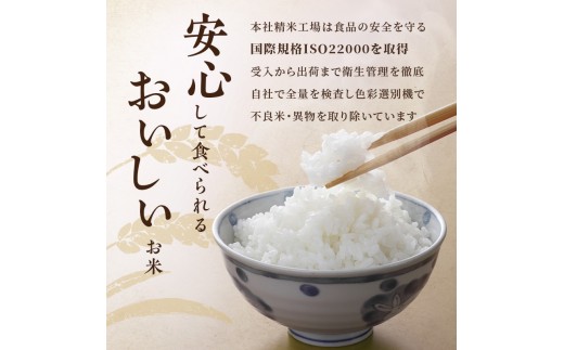 R8年産 新潟県産 コシヒカリ  2kg 6か月定期便 新潟県 新潟市産 令和8年産 お米 精米 米 ご飯 送料無料