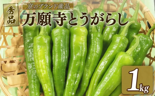 【 期間限定 7月8日まで受付 】万願寺とうがらし 1kg A品(秀品) 京野菜 とうがらし 国産 新鮮 旬野菜 旬 美味しい おいしい ブランド 京都府 期間限定 野菜 京都 万願寺唐辛子 ふるさと納税 ふるさと納税野菜 