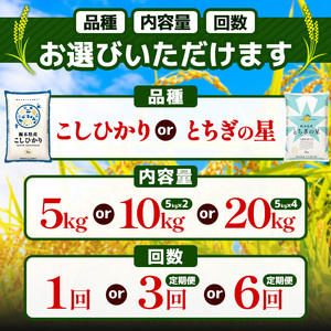 【定期便3回】栃木県産コシヒカリ 5kg×4 (20kg)