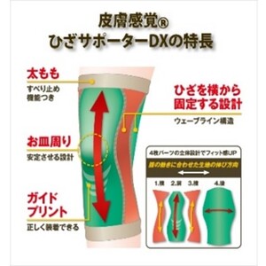 【サイズが選べる】MADE IN KORIYAMA皮膚感覚ひざサポーターDX ＜LL・L・M・Sからサイズが選べる＞ LLサイズ