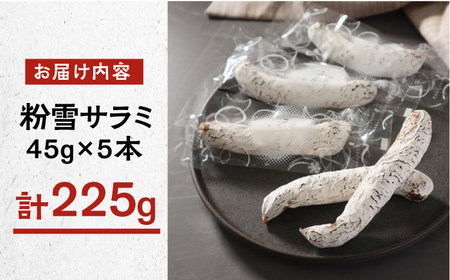 粉雪サラミ 5本 / のし ギフト 対応可 人気 希少 サラミ 生サラミ 白カビ 熟成 おつまみ / 佐賀県 / ふるさと倶楽部 [41ABCM001]