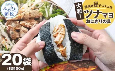 鰹ツナパウチ 100g×20袋セット 高知県土佐市 【企業組合　宇佐もん工房】 [BQAB066]