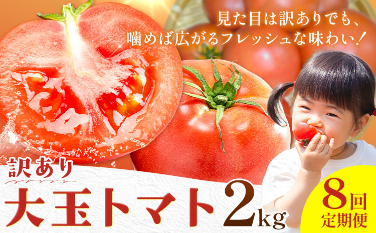 【8回定期便】訳あり トマト 大玉 大玉トマト わけあり 2kg ×8回 吉祥庵園芸《11月上旬-6月上旬頃出荷》鹿児島県 さつま町 送料無料 野菜 トマト お取り寄せ---stm-eng-6-mo8