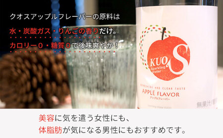 【全12回定期便】強炭酸水クオス アップルフレーバー 500ml×24本  / 炭酸 炭酸 炭酸 炭酸 炭酸 炭酸 / 日田市 / 株式会社OTOGINO[AREF172]