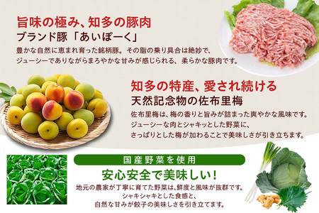 知多の梅しそ餃子・知多餃子セット 餃子食べ比べセット 愛知県産 ご当地餃子 国産 生餃子 梅 梅しそ おかず ぎょうざ ギョウザ 冷凍食品 お惣菜 豚肉 中華 点心 お取り寄せ おつまみ 国産野菜 贈