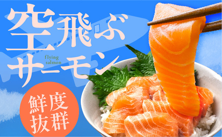 【特別寄附金額】アトランティックサーモン フィレ 総量 1kg以上 小分け 500g以上×2P【エコパック 訳あり サイズ不揃い 世界No.1サーモンメーカー 刺身 サーモン 海鮮丼 サラダ 総量 1