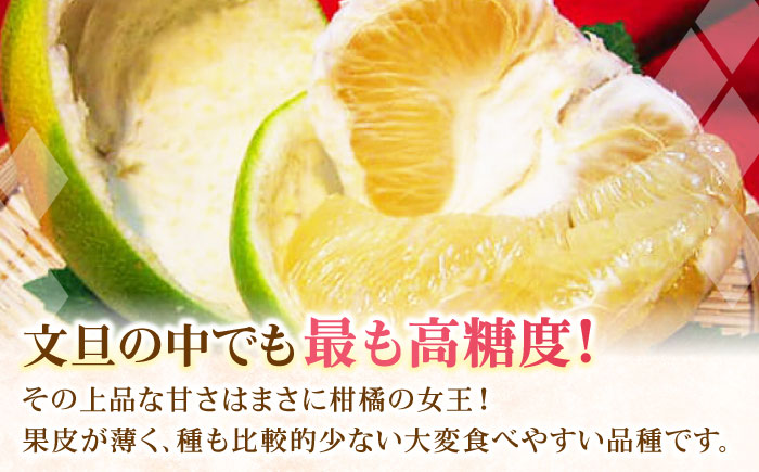 南国土佐の女王柑橘 水晶文旦 約5kg 7玉入り〈2025年9月中旬～2025年12月下旬頃発送〉/ 大玉サイズ ぶんたん 文旦 フルーツ 高知名物 果物 【フルーツショップオザキ】 [ATAH010