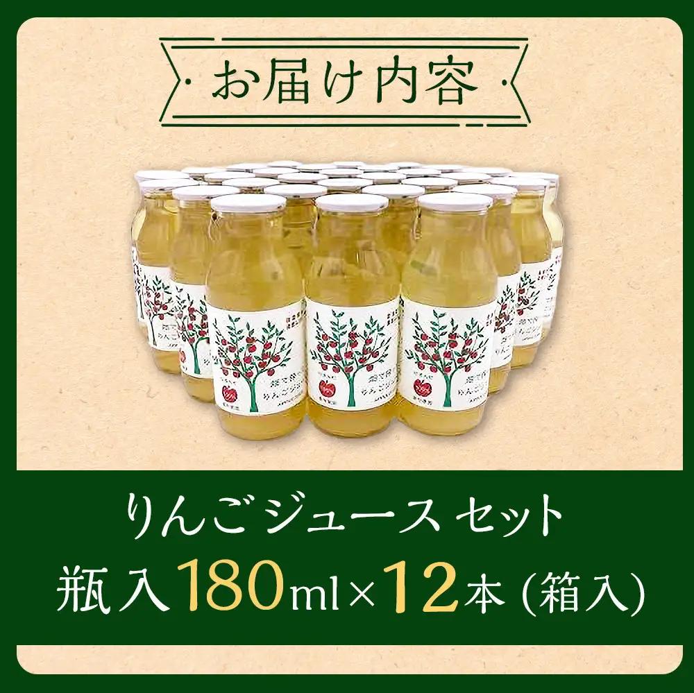 りんごジュースセット12本×180ml　大町産 りんごジュース 長野 信州