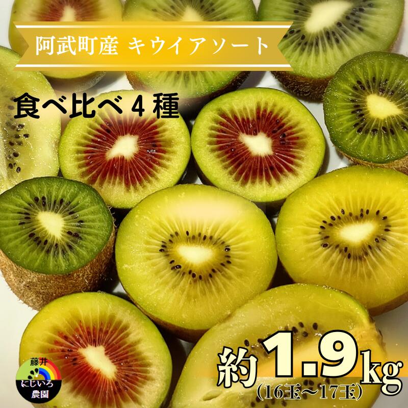 【ふるさと納税】阿武町産★キウイフルーツ（4種） 約1.9kg「アソート」　果物詰合せ・フルーツ　お届け：2025年11月14日頃～2026年1月31日頃