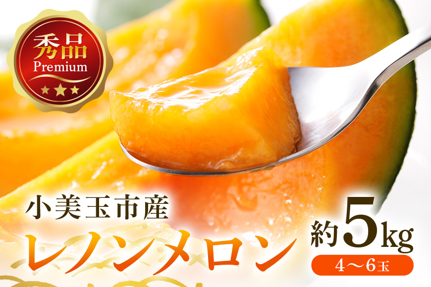 【数量限定・先行予約】 レノンメロン 赤肉 約5kg 4玉〜6玉 秀品 メロン 高級 果物 くだもの フルーツ ギフト 贈り物 贈答用 国産 茨城 小美玉 【4月20日まで受付・4月〜5月上旬順次発送