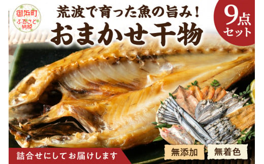 マルミツおまかせ9点 魚 魚介類 干物 セット 詰め合わせ 無添加 無着色 三重県 御浜町 