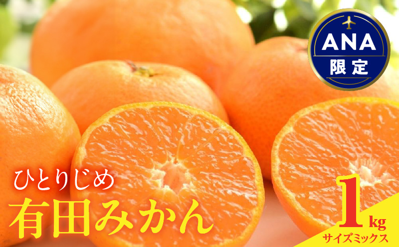 MK1008_【ANA限定】 みかん 食べ比べ お任せ3サイズ 箱込 3kg ( 内容量 2.4kg ) 2S～2Lサイズ 秀品 優品 混合 有田みかん 和歌山県産 産地直送