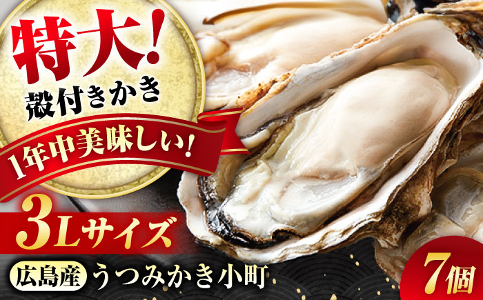貝類 【冷蔵】 うつみかき小町殻付き 3Lサイズ×7個 広島県福山市/カネト海苔水産株式会社 牡蠣 かき 殻付 焼き牡蠣 うつみかき小町 かき小町 [BAAQ006]